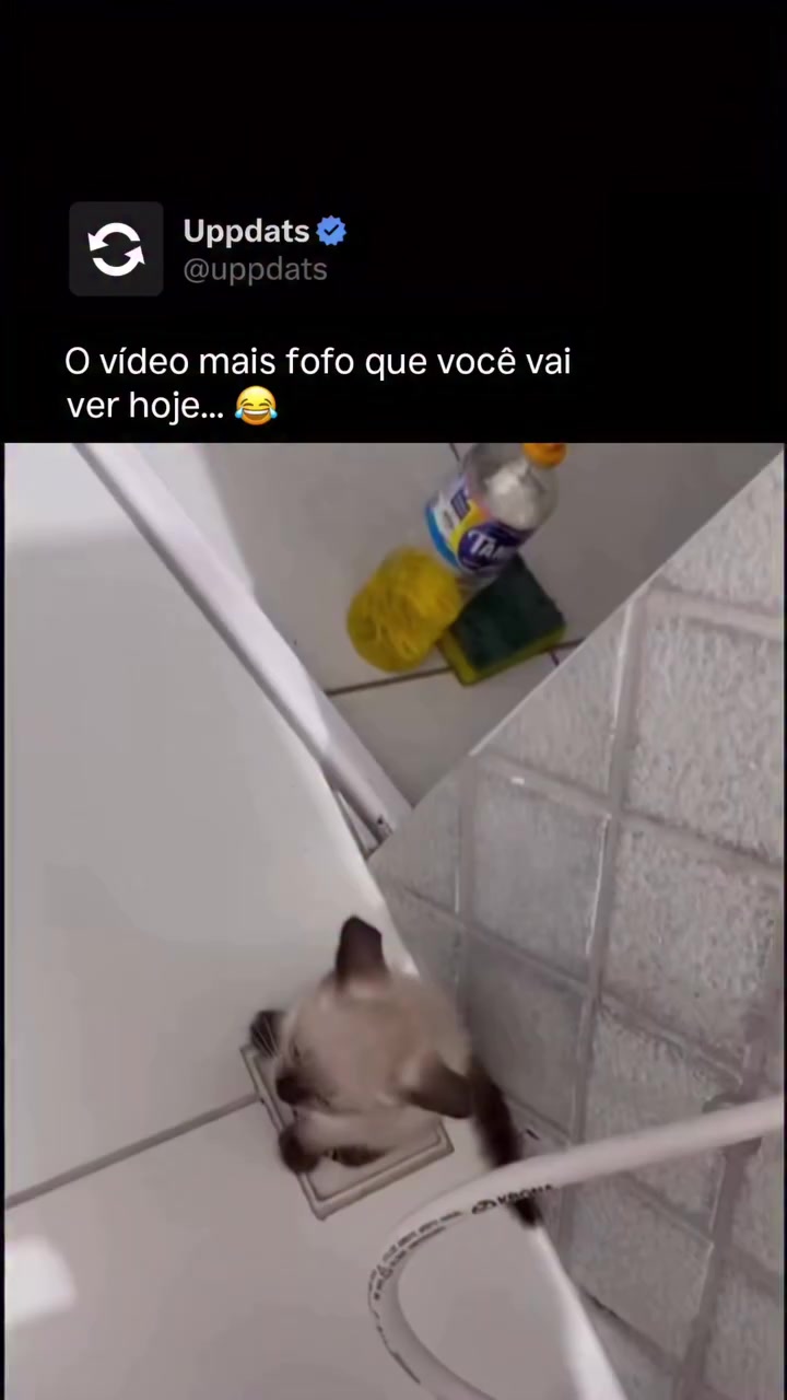 @Happy Day Brasil