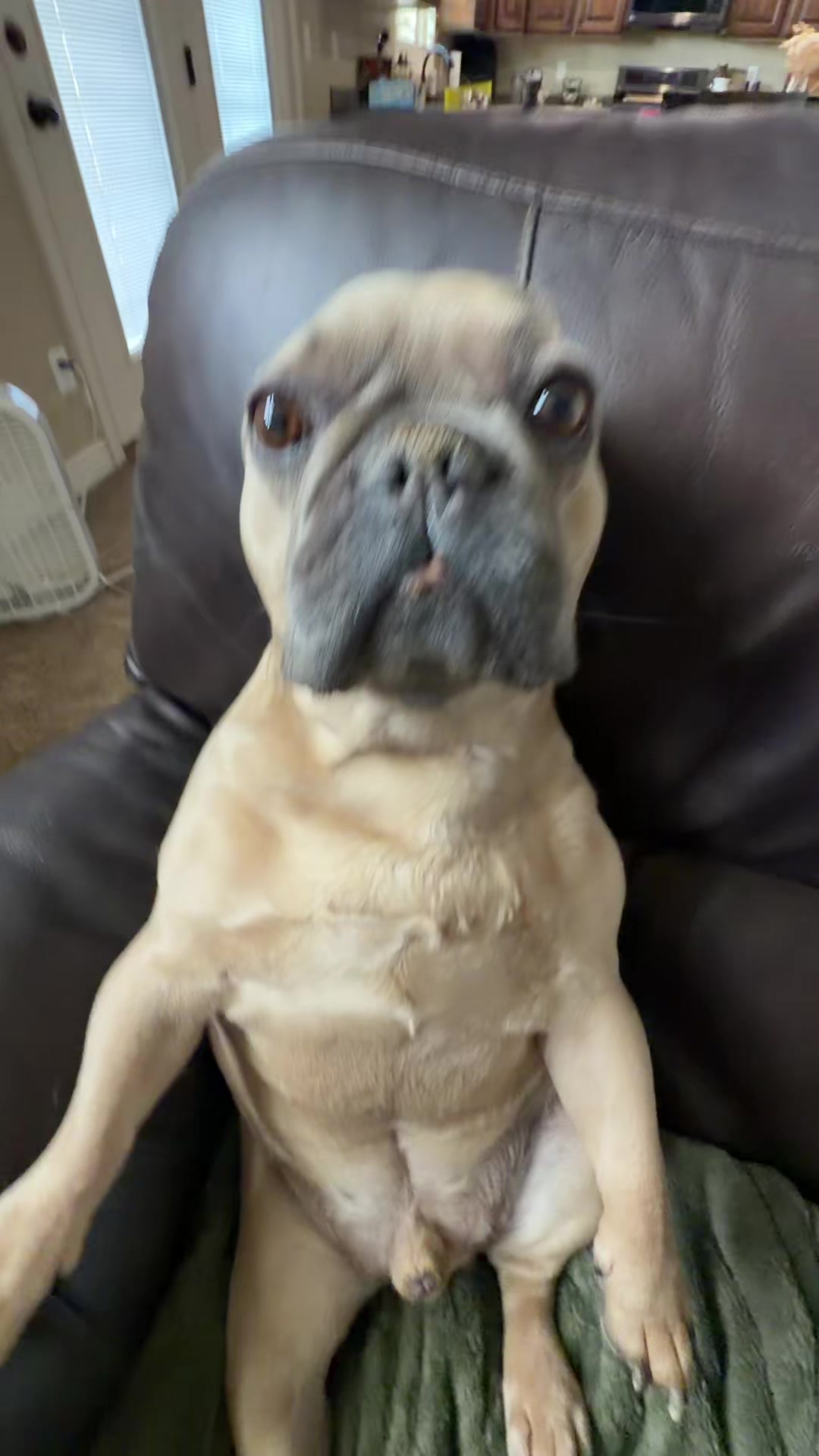 @bentleytheg0at