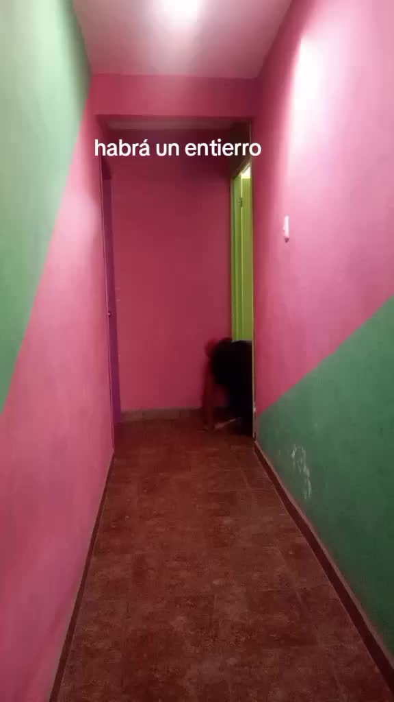 @Canelito Ramirez