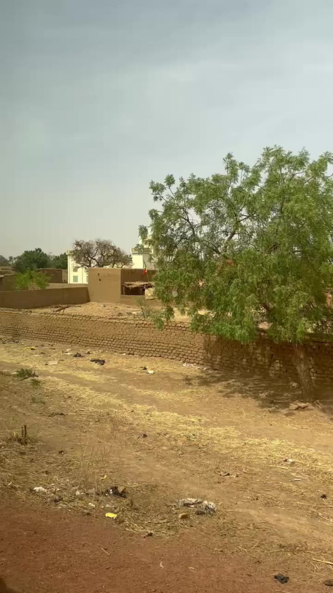 @Teammalian