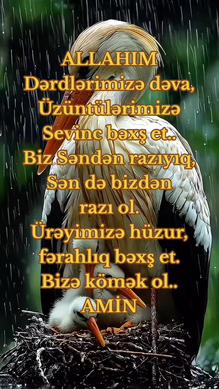 @DİNİM İSLAM
