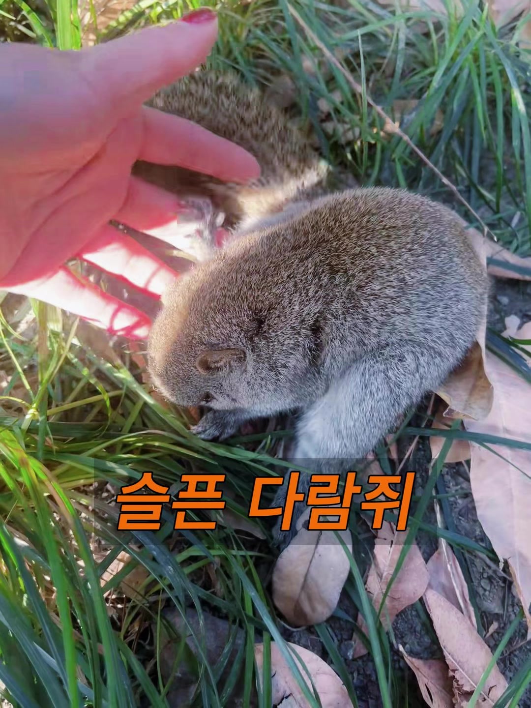 @삼촌Cut2025