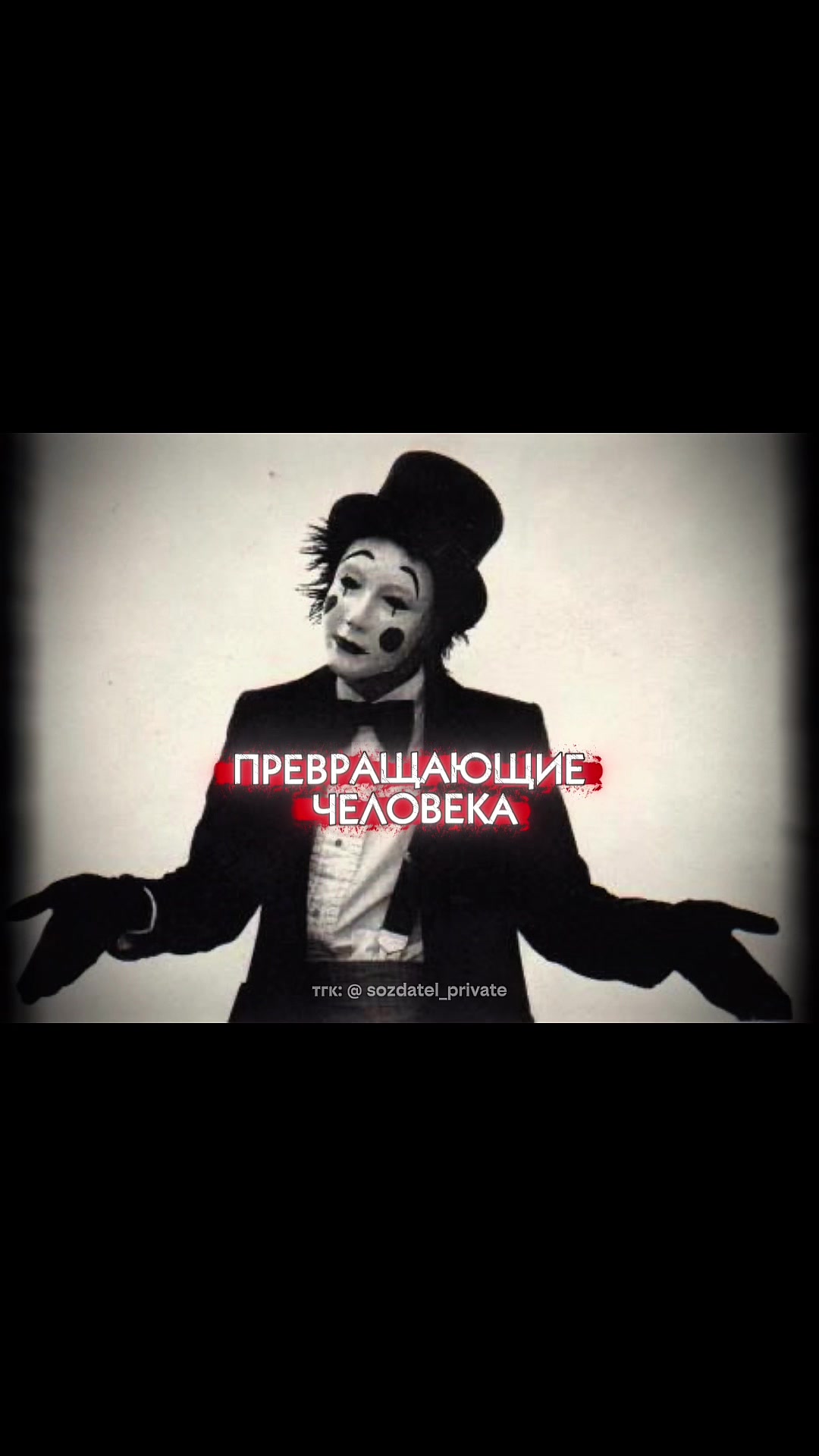 @CreatorAura CEO