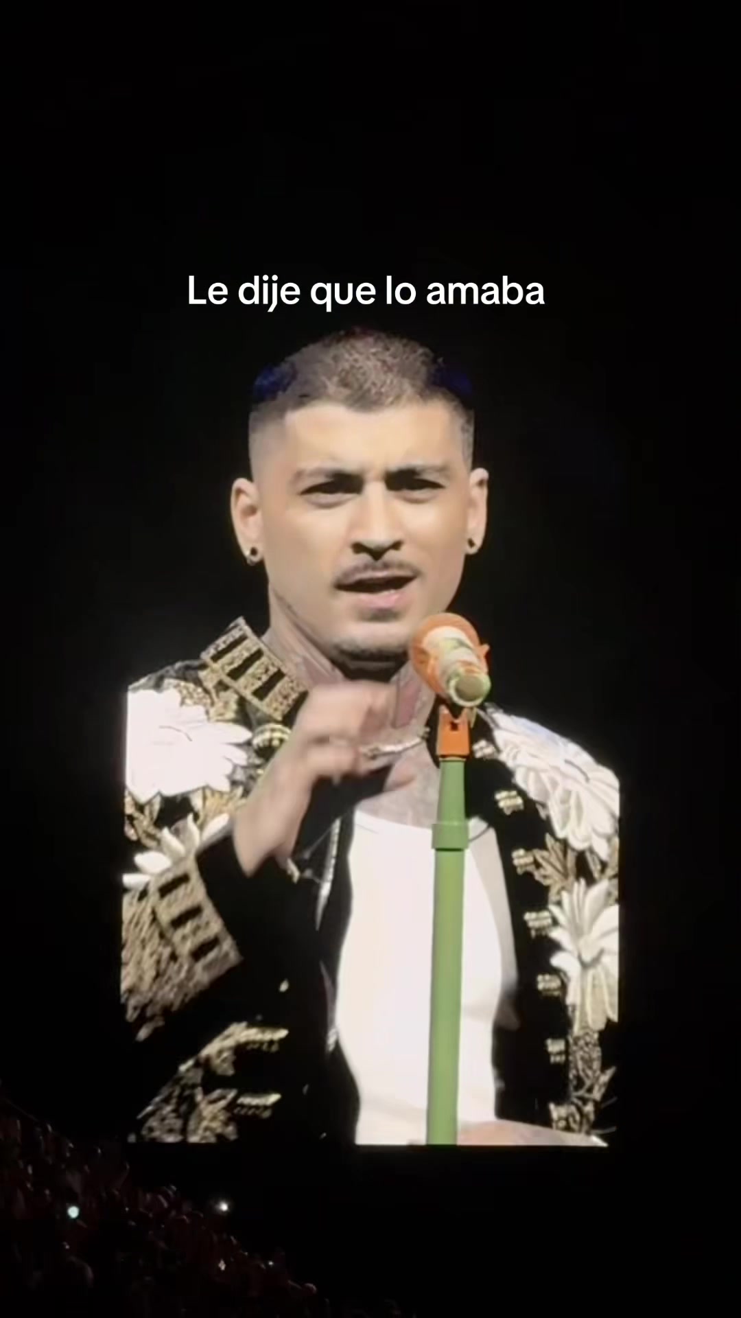 @paola_lizardi
