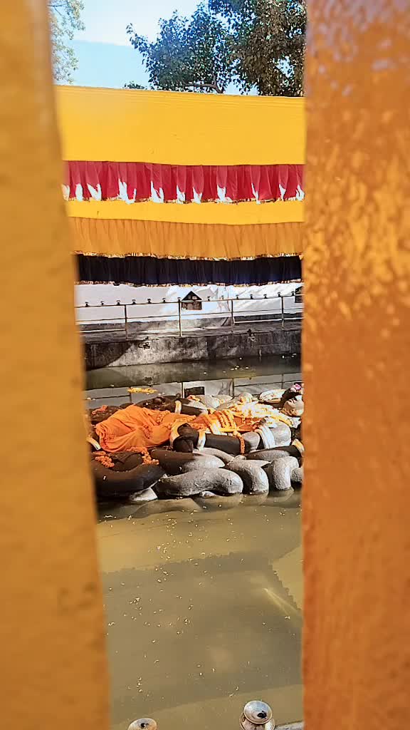 @sarmilabhattrai25