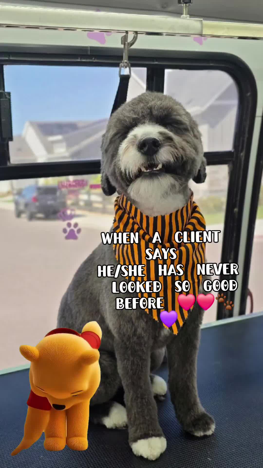 @Royal Paw Spa 🐾