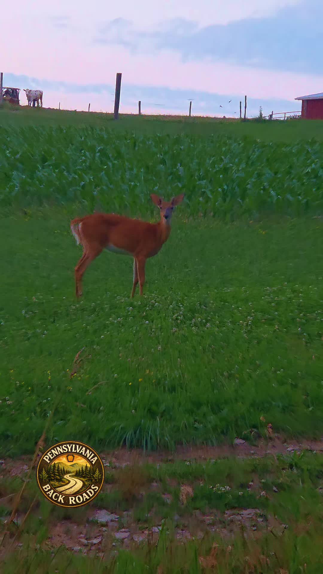 @Pennsylvania Back Roads