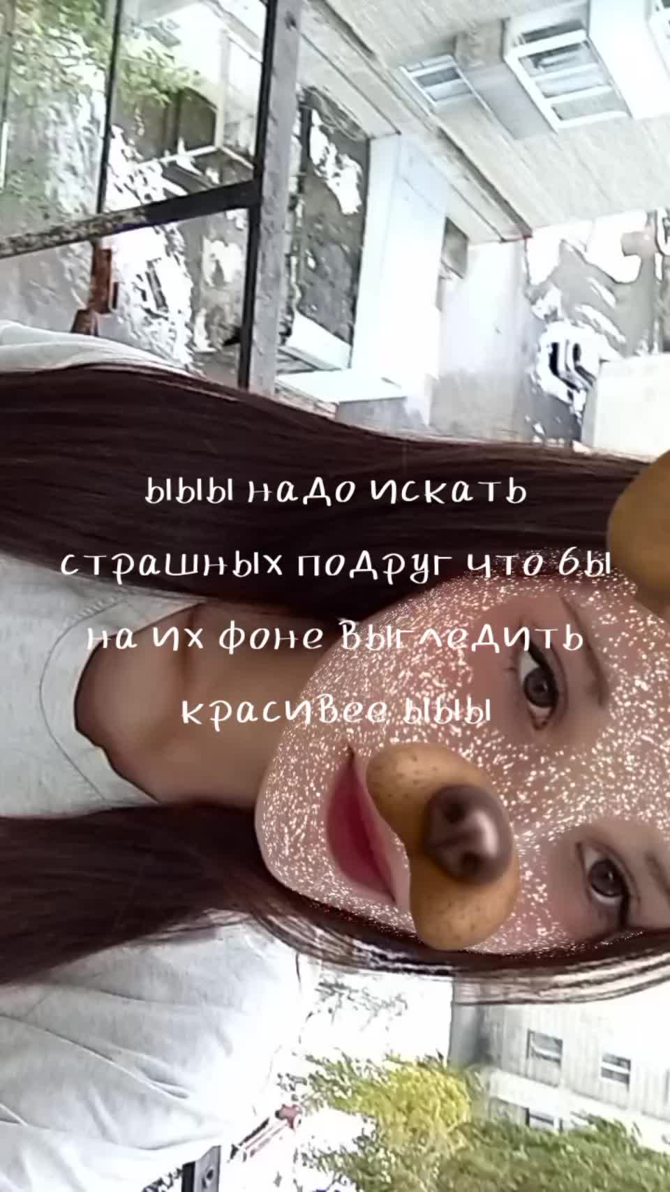 @lupa1991
