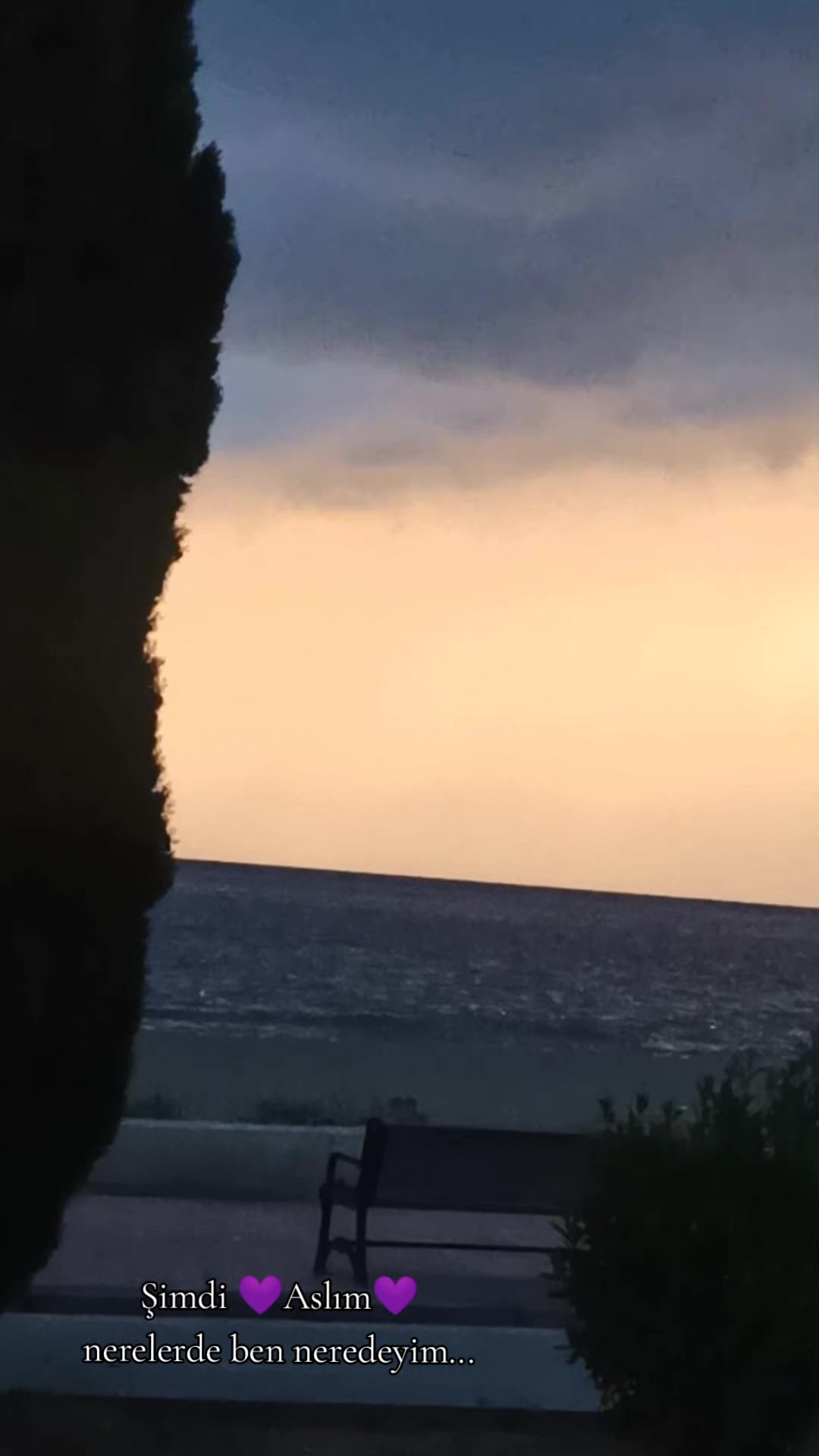 @aslaniçe