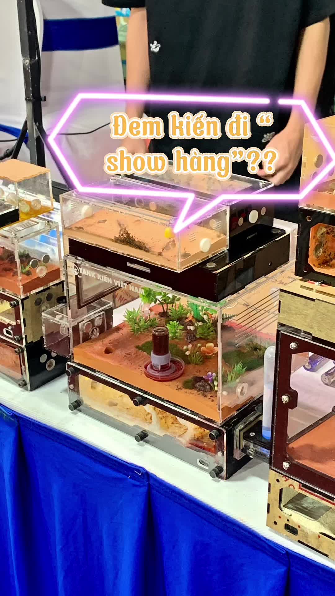 @Henry Thích Nuôi Kiến 🐜