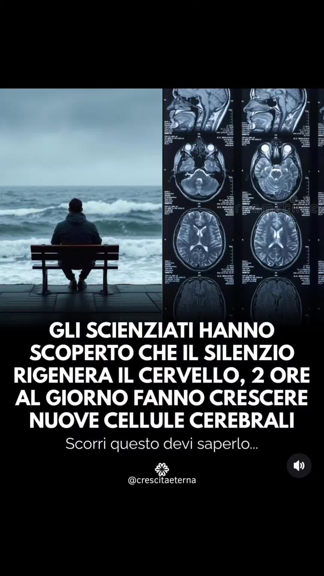 @Ilaria Ridolfi