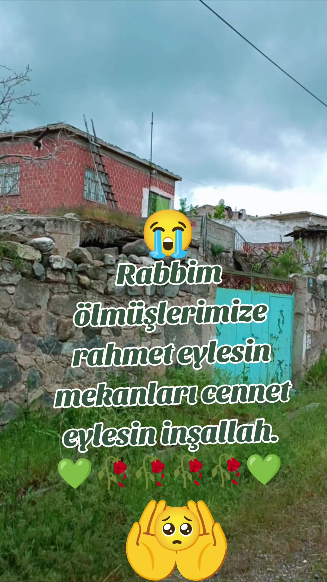 @Lila Yasemin