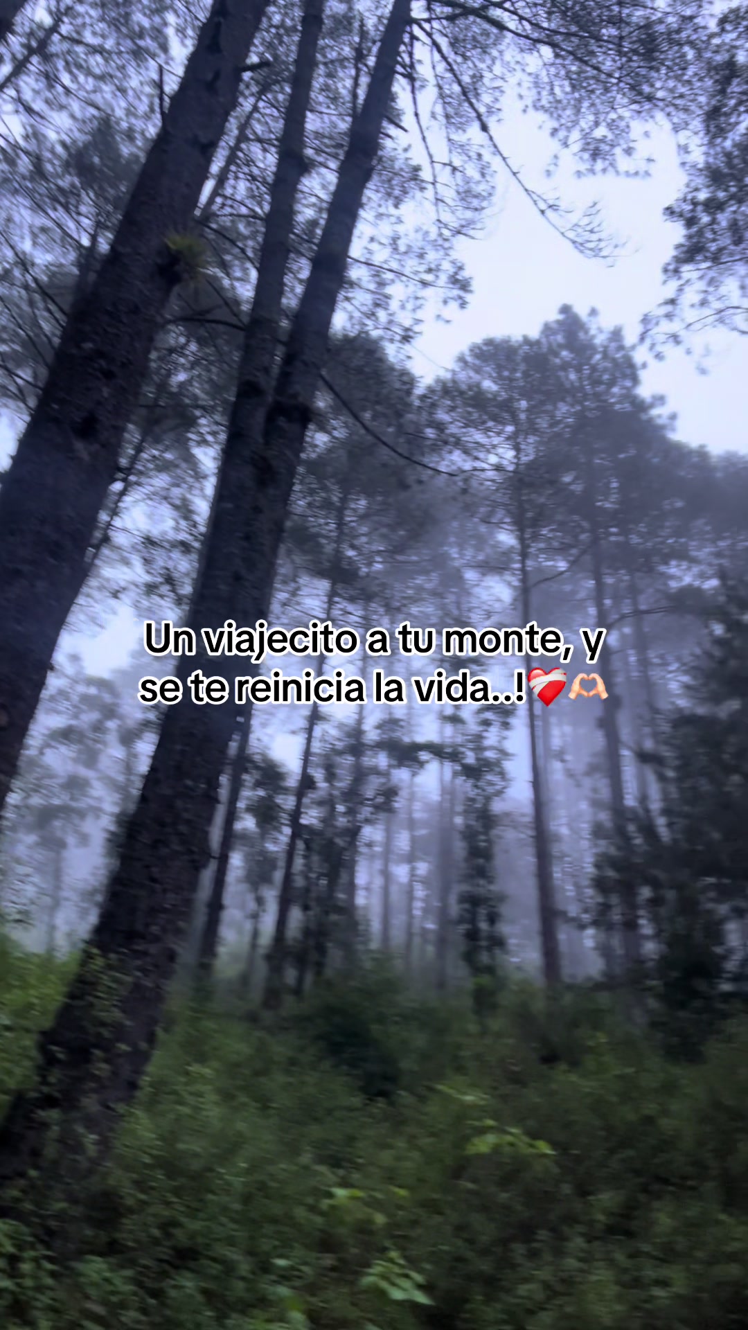 @D a v i d.🍓
