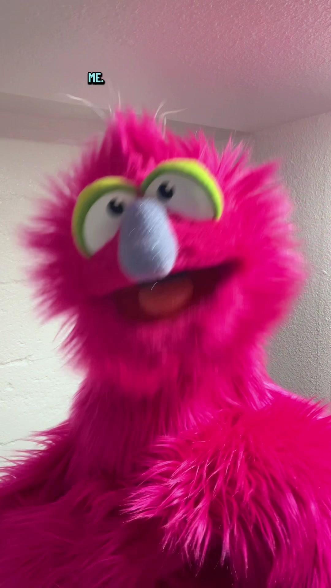@WhoNeedsPuppets