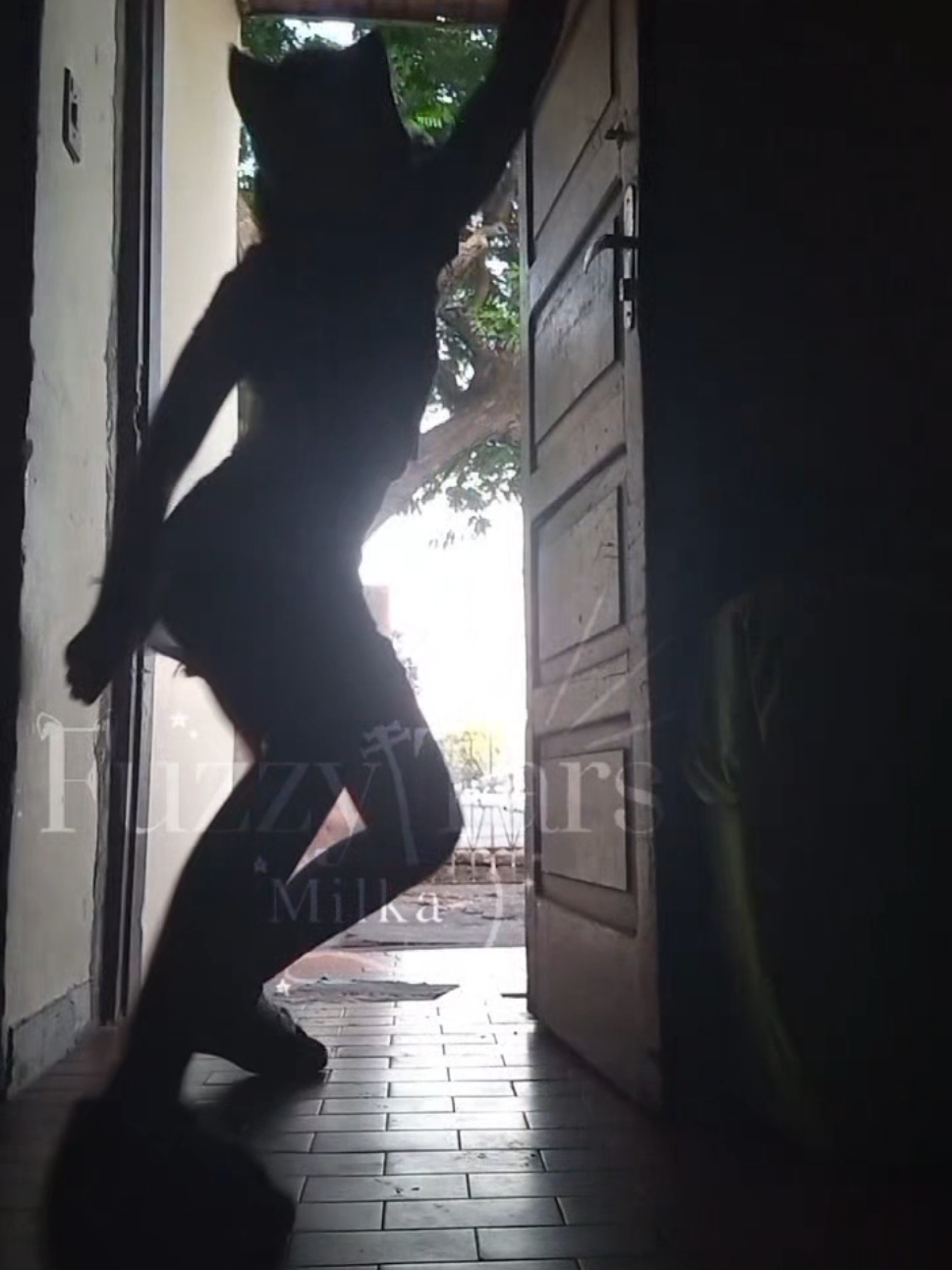 @ᯓ★𝐌♱𝐥𝐤𝐚_𝐒𝐭𝐚𝐫𝐬𓆈🍃
