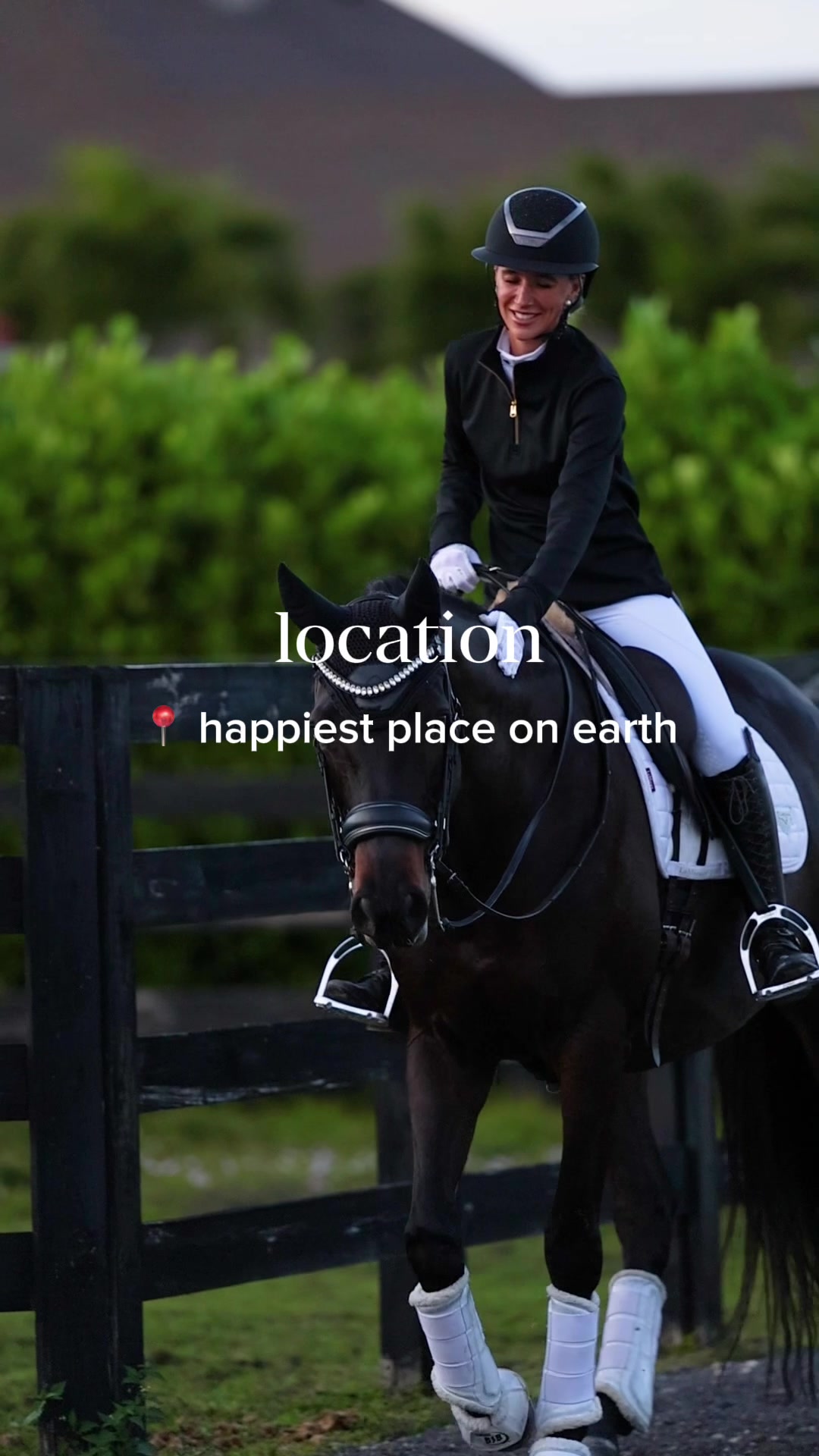 @Sync Equestrian