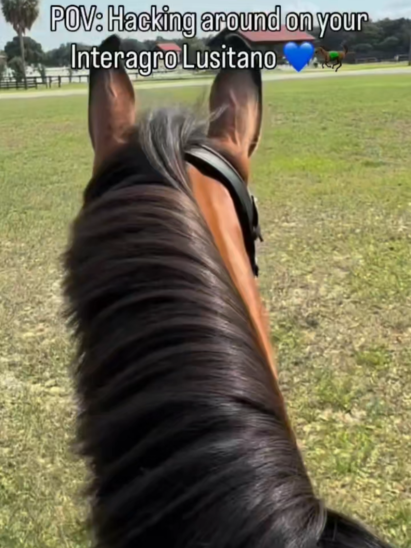 @streamhorse