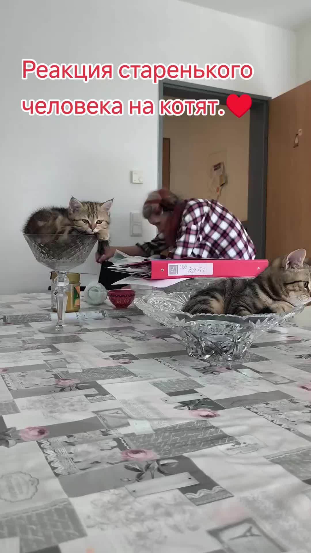 @аристократ
