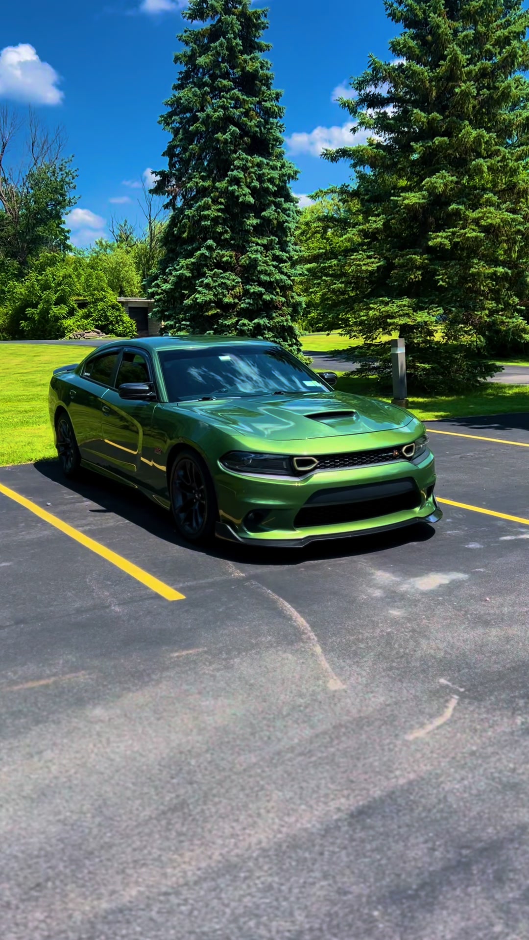 @392Predator