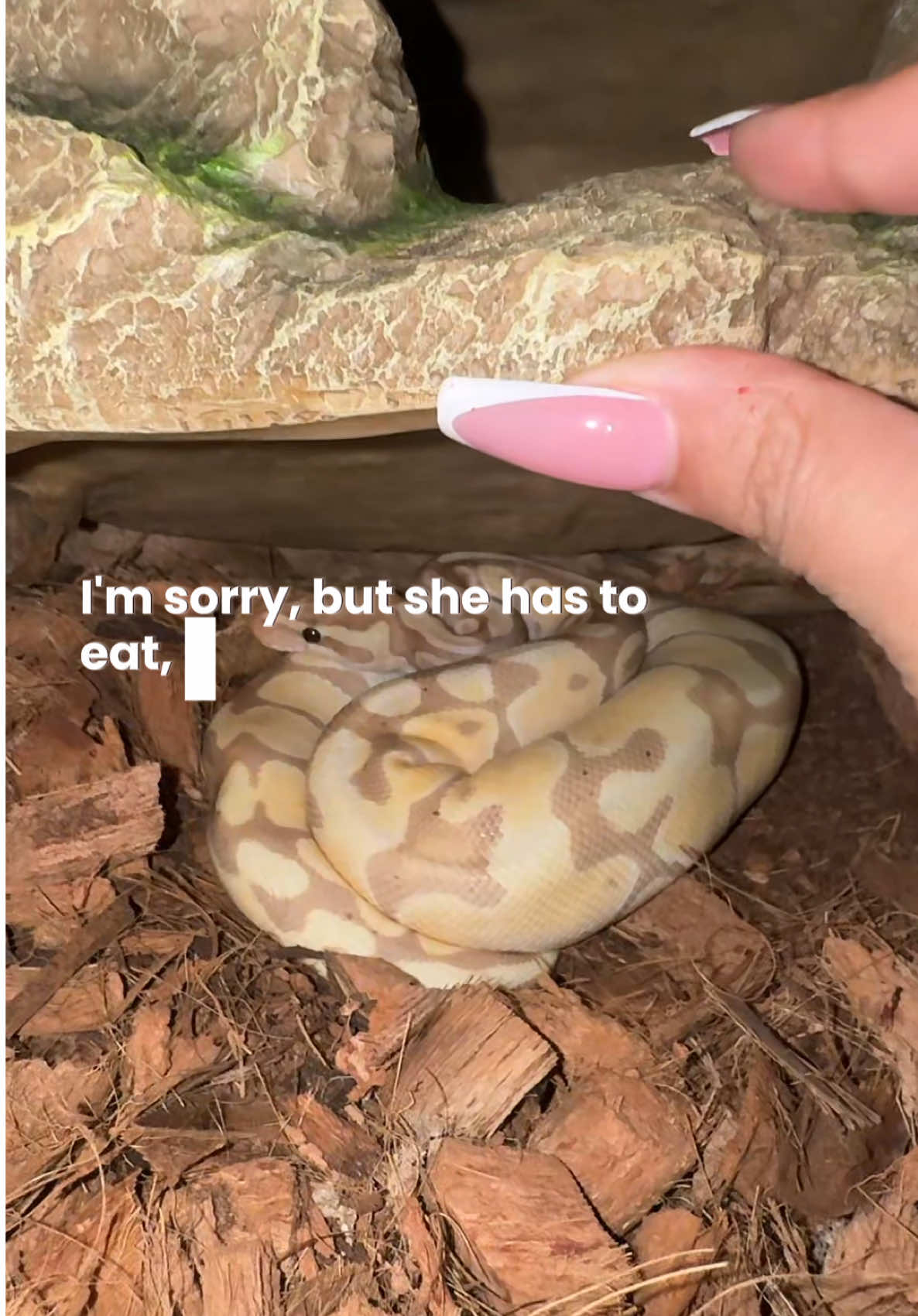 @kiararising