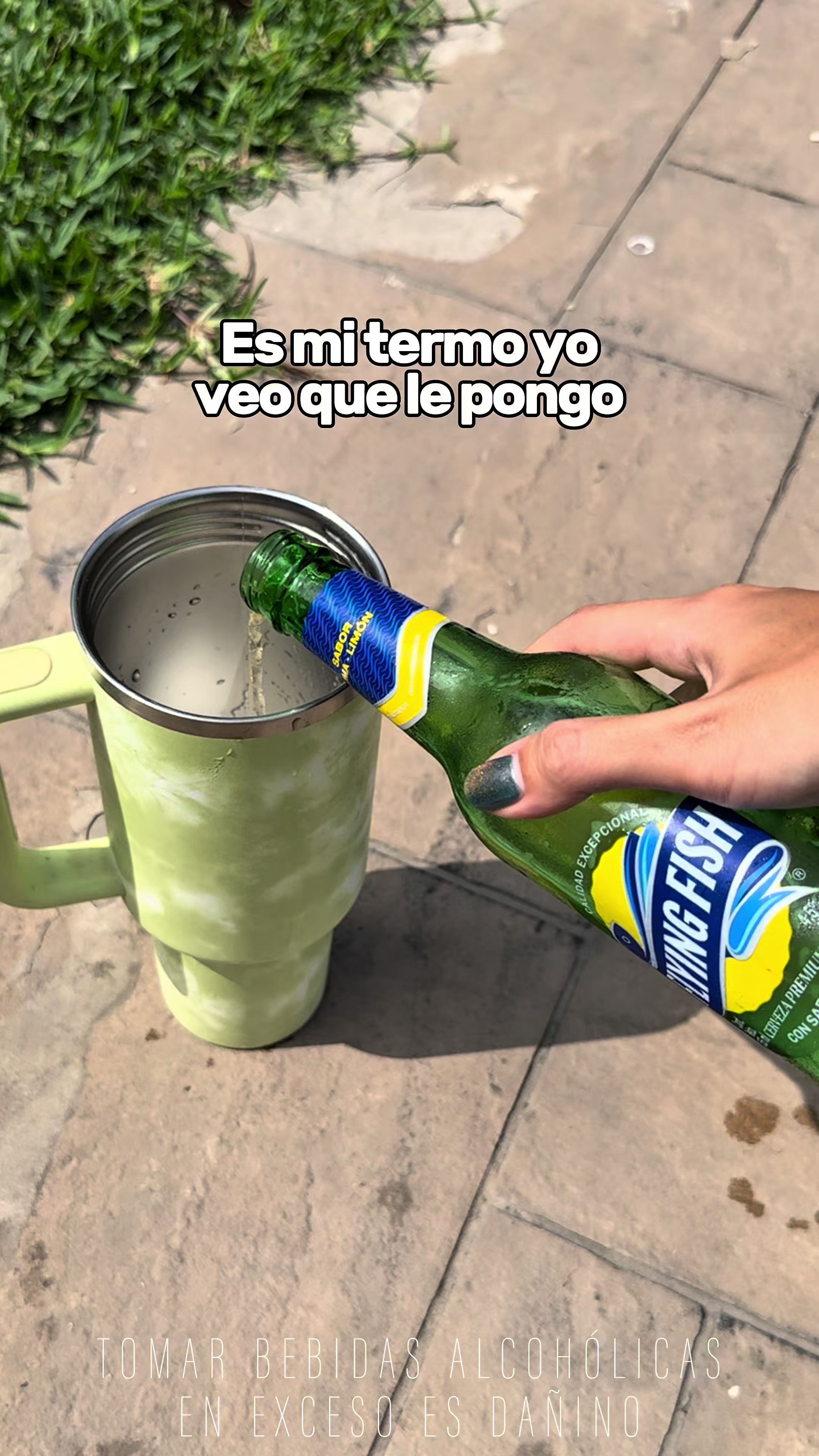 @Tamy Ariela