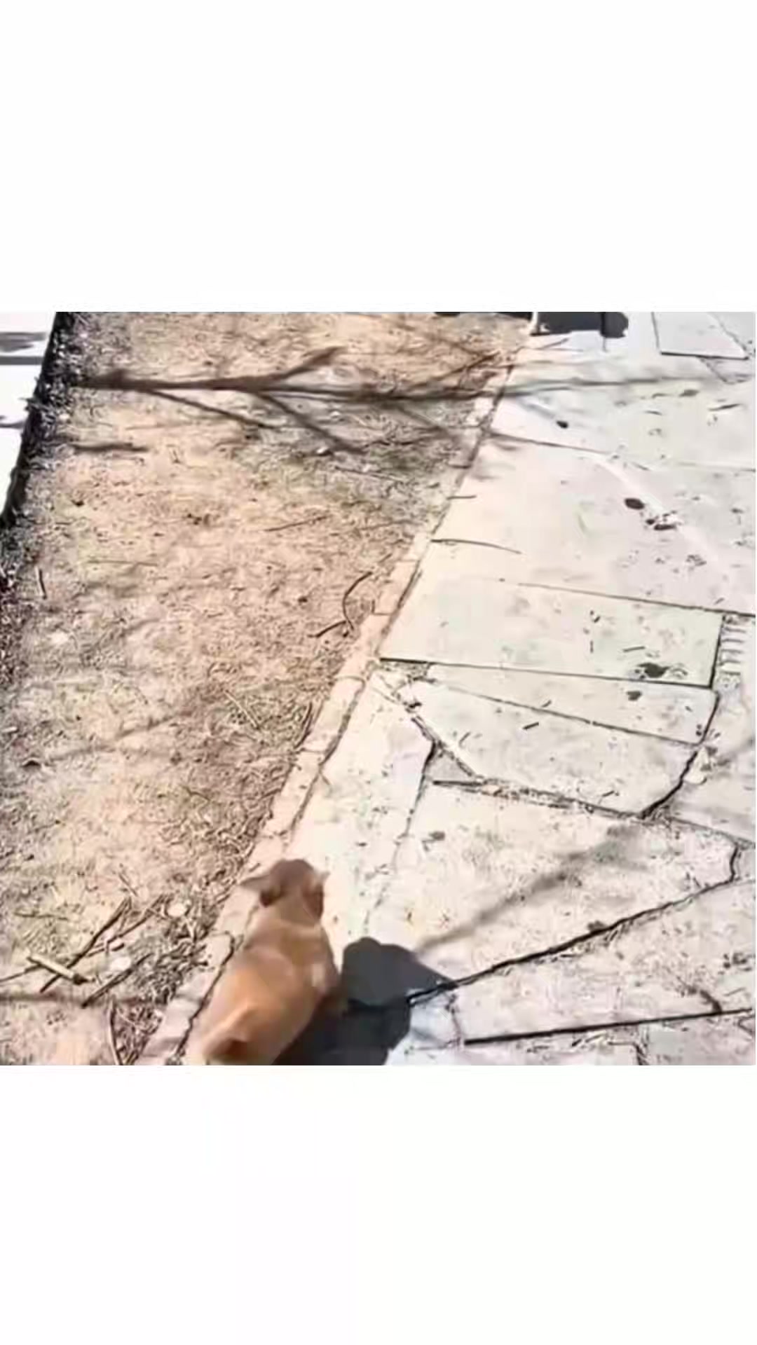 @UNKNOWN CREATOR