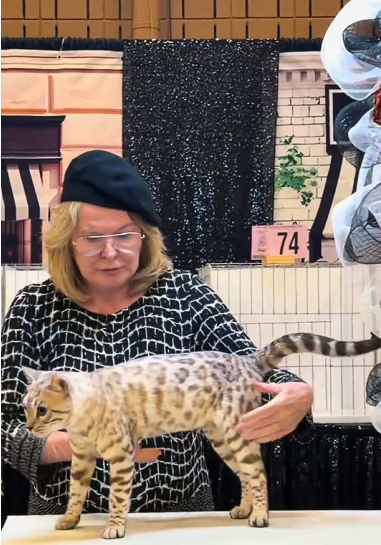 @ＢＥＮＧＡＬ&Iacute;&emsp;ＬＥＯＰＡＲＤＳ