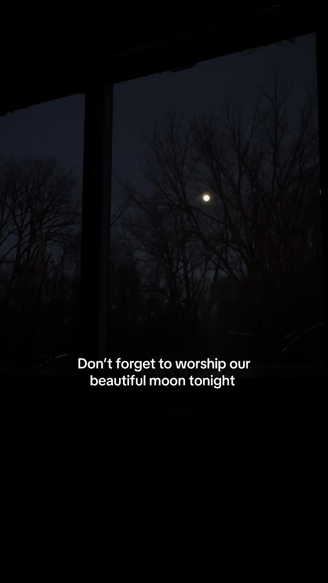 @Venus