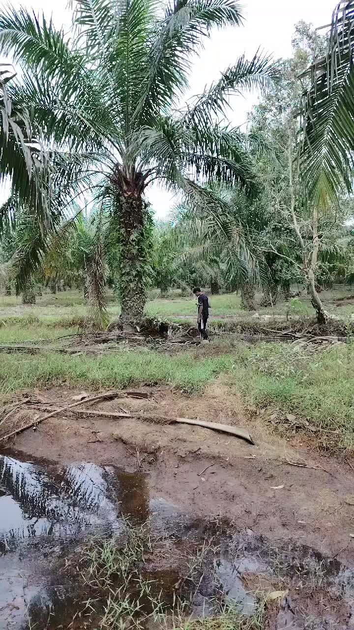 @shaa_iman