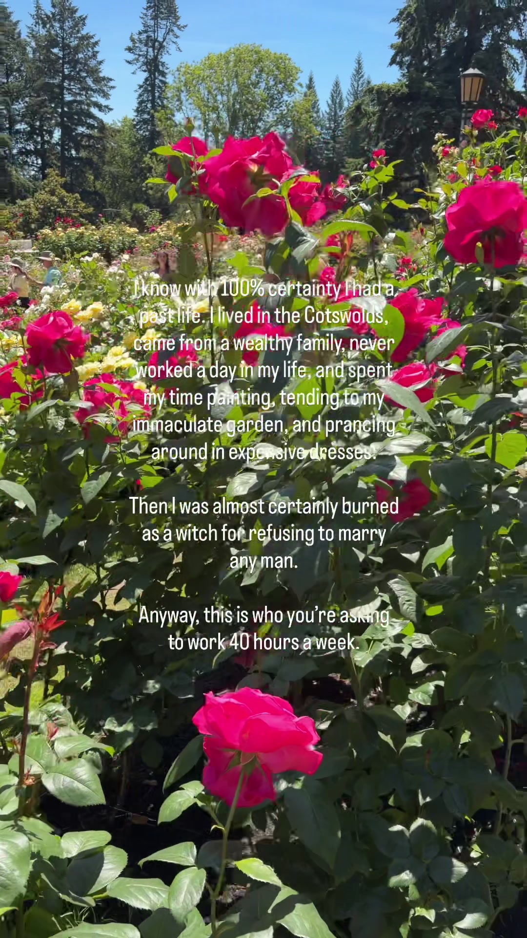 @Krista 🖤