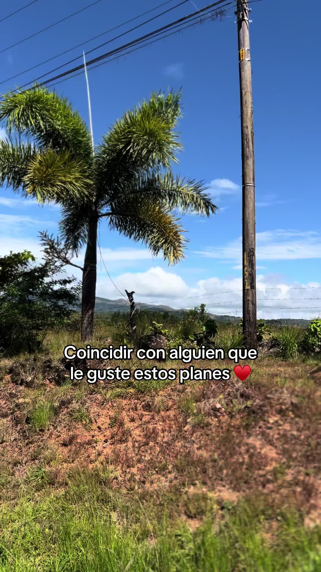 @Yaneth Adames