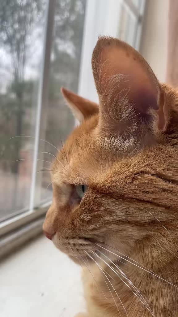 @Pablo & Luigi 🐾