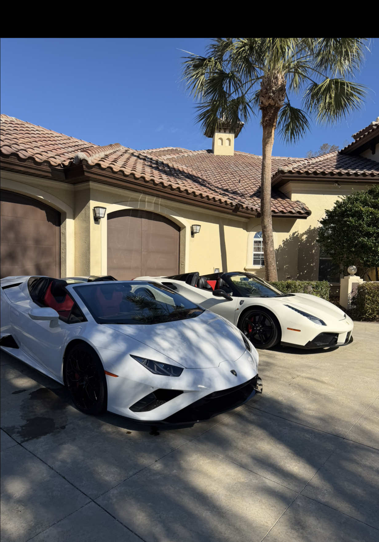 @theexotickingpin