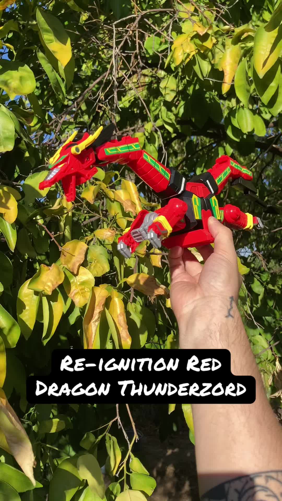 @Tokuasmr