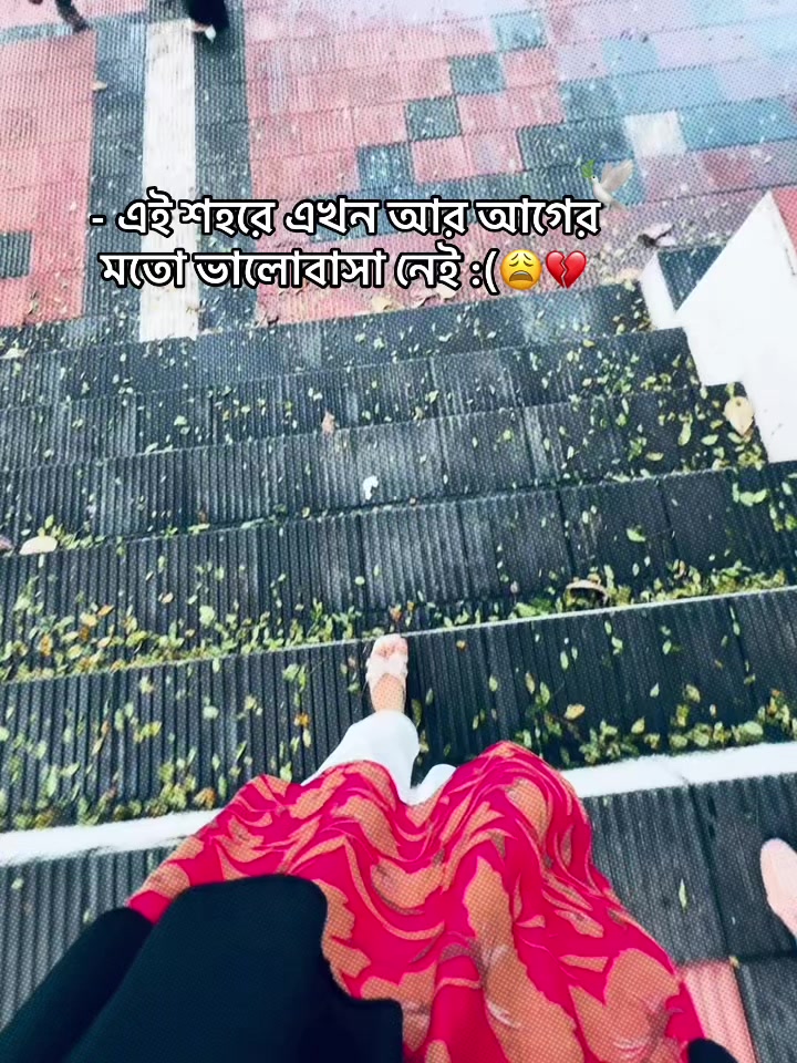 @• आरिफ'𝐖i𝗳𝐞𝐲-!🫠🕊️