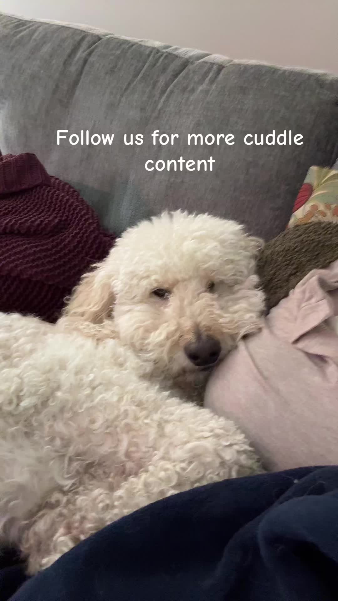 @bri.r 🌈💙