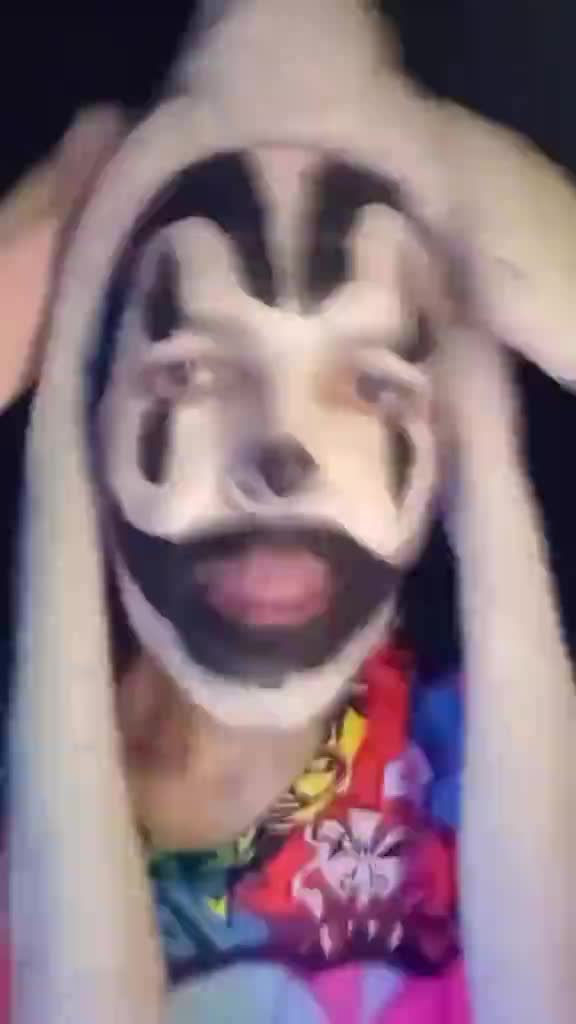 @PurgeKitty