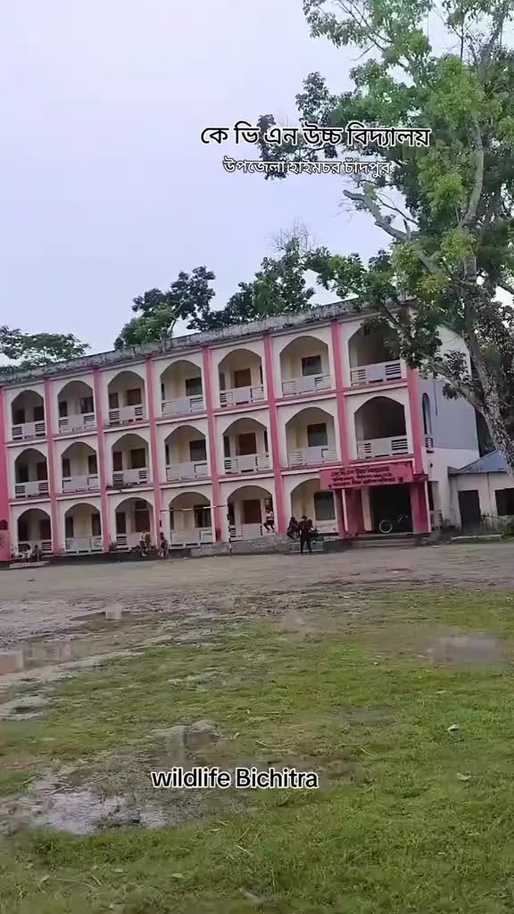 @đĢ_PINIK VAI_đ