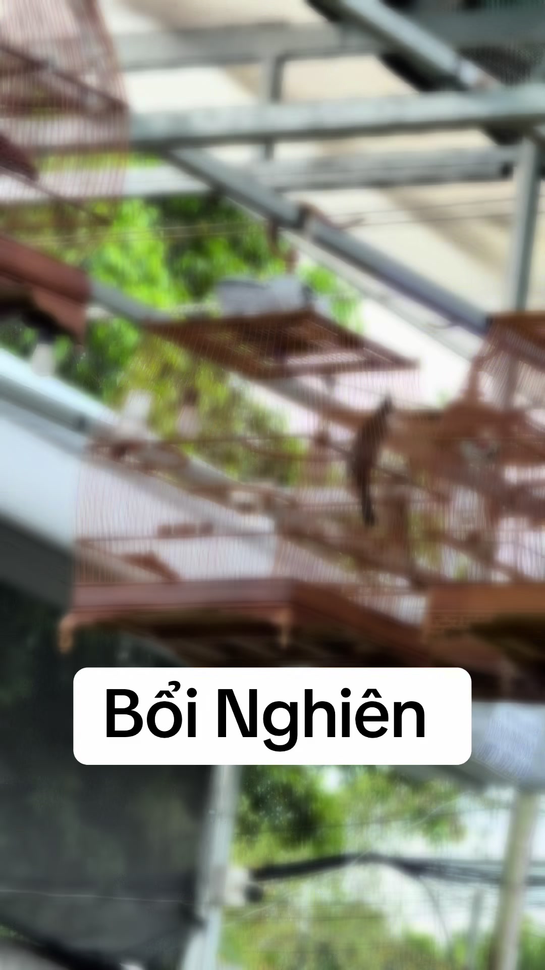 @TRUNGKA 98 TIVI
