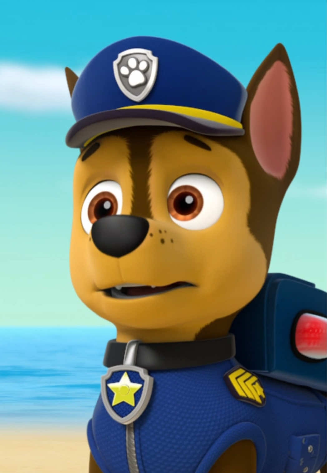 @pawpatrol