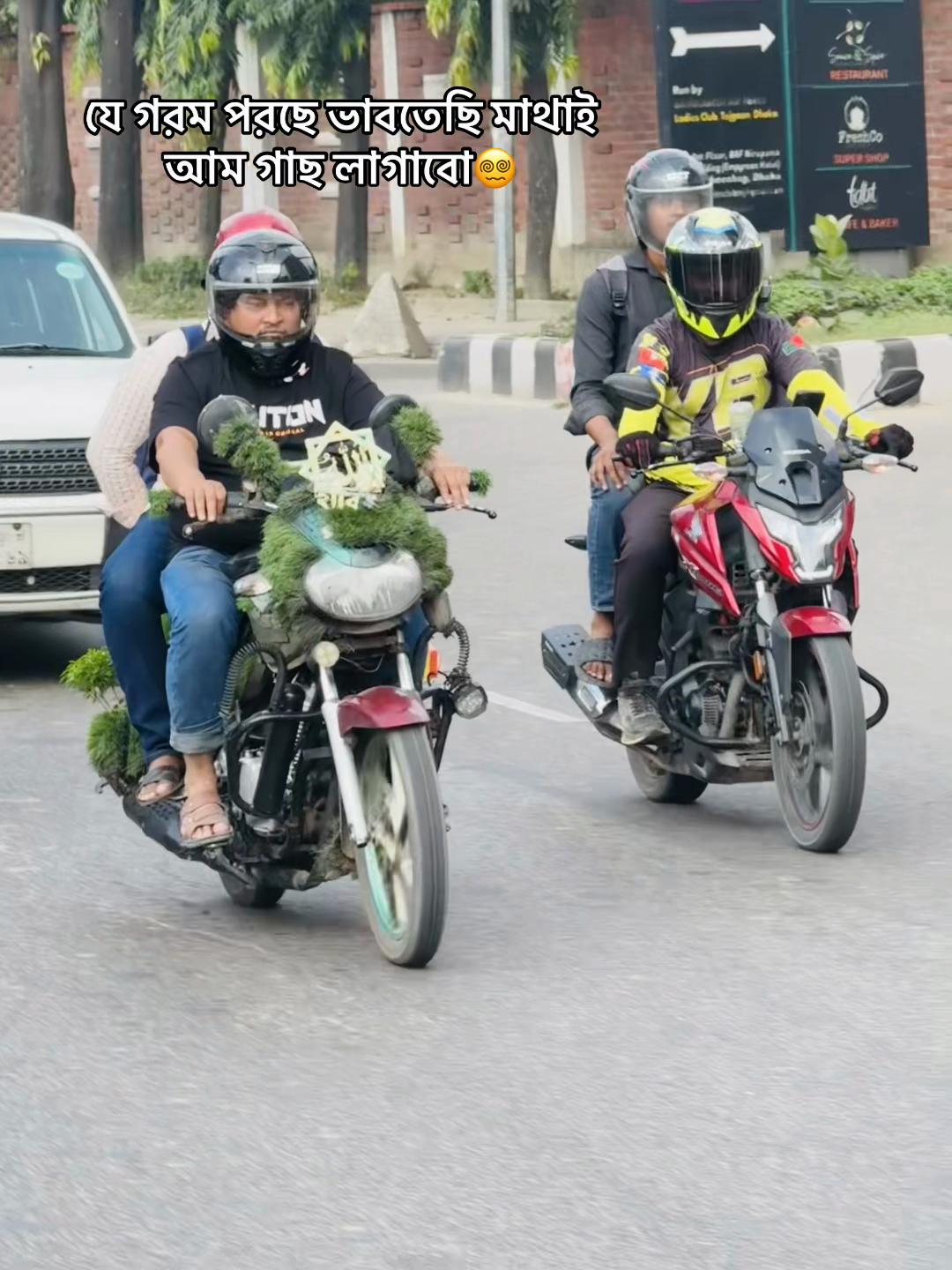 @mdalmamun7.00
