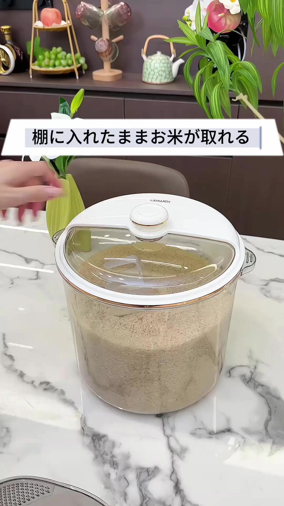 @愛の贈り物