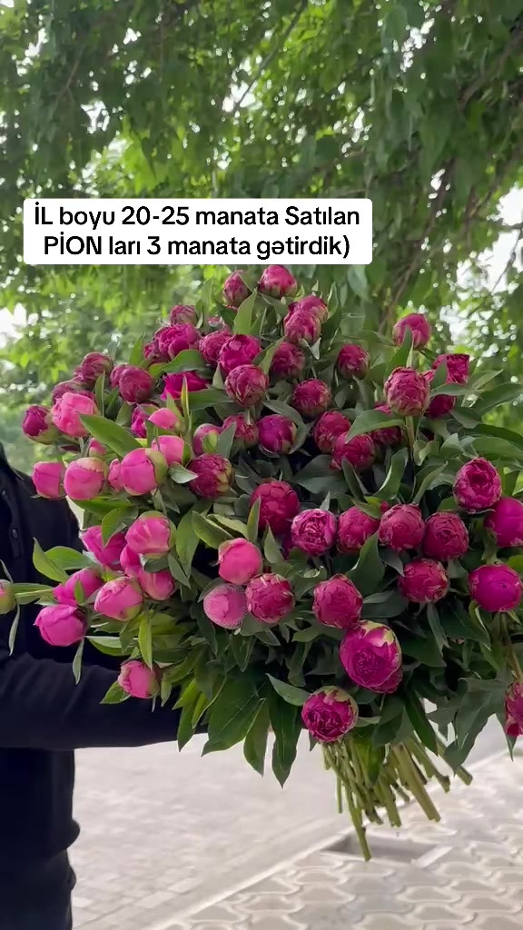 @masalflowers.az