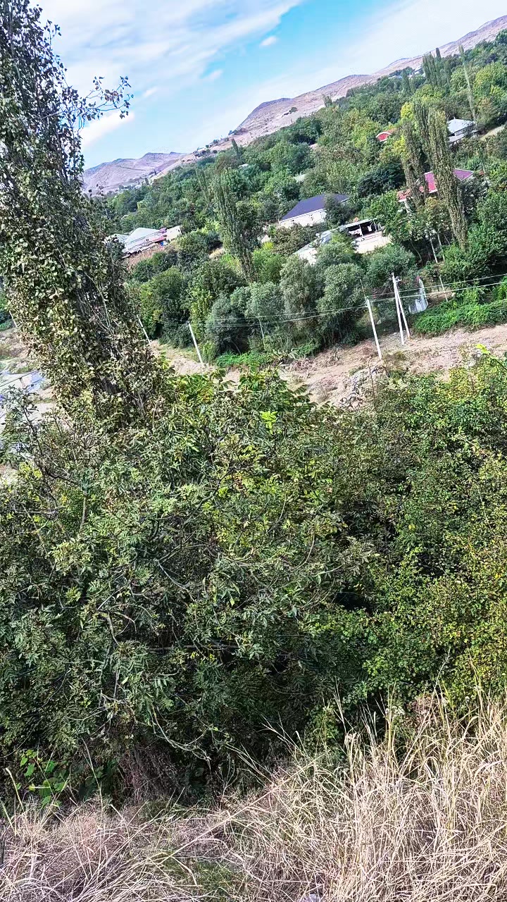 @Tt_447