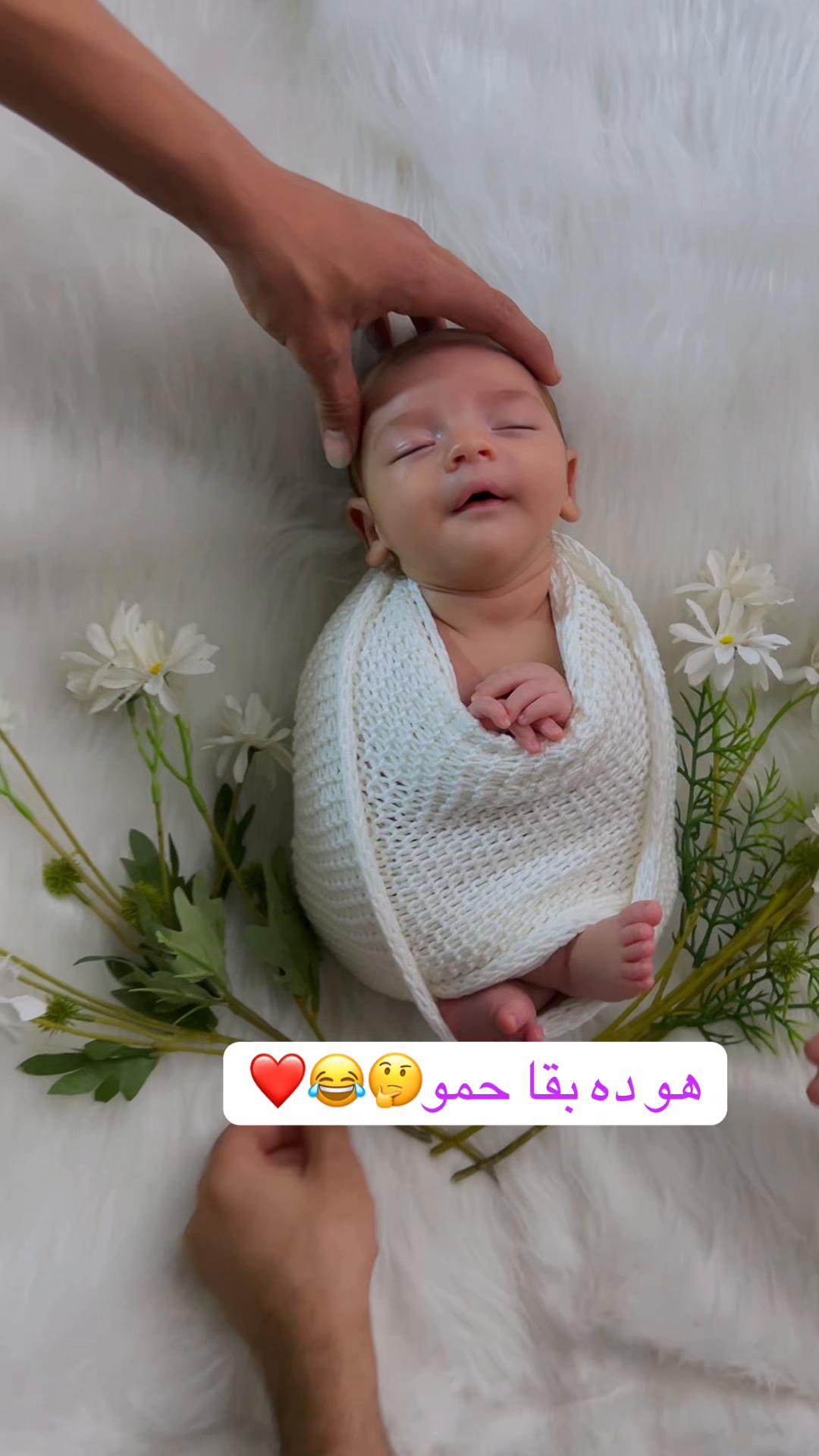 @hadota newborn photographer 👶