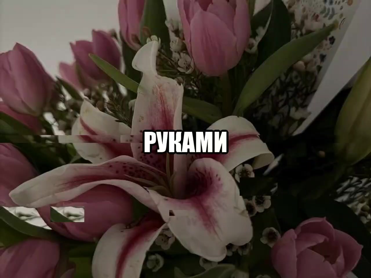 @звуки для липсингов