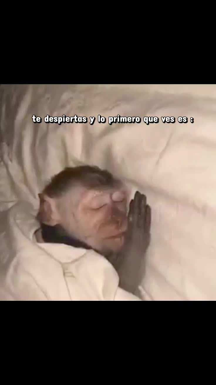 @usuario no encontrado///🩸
