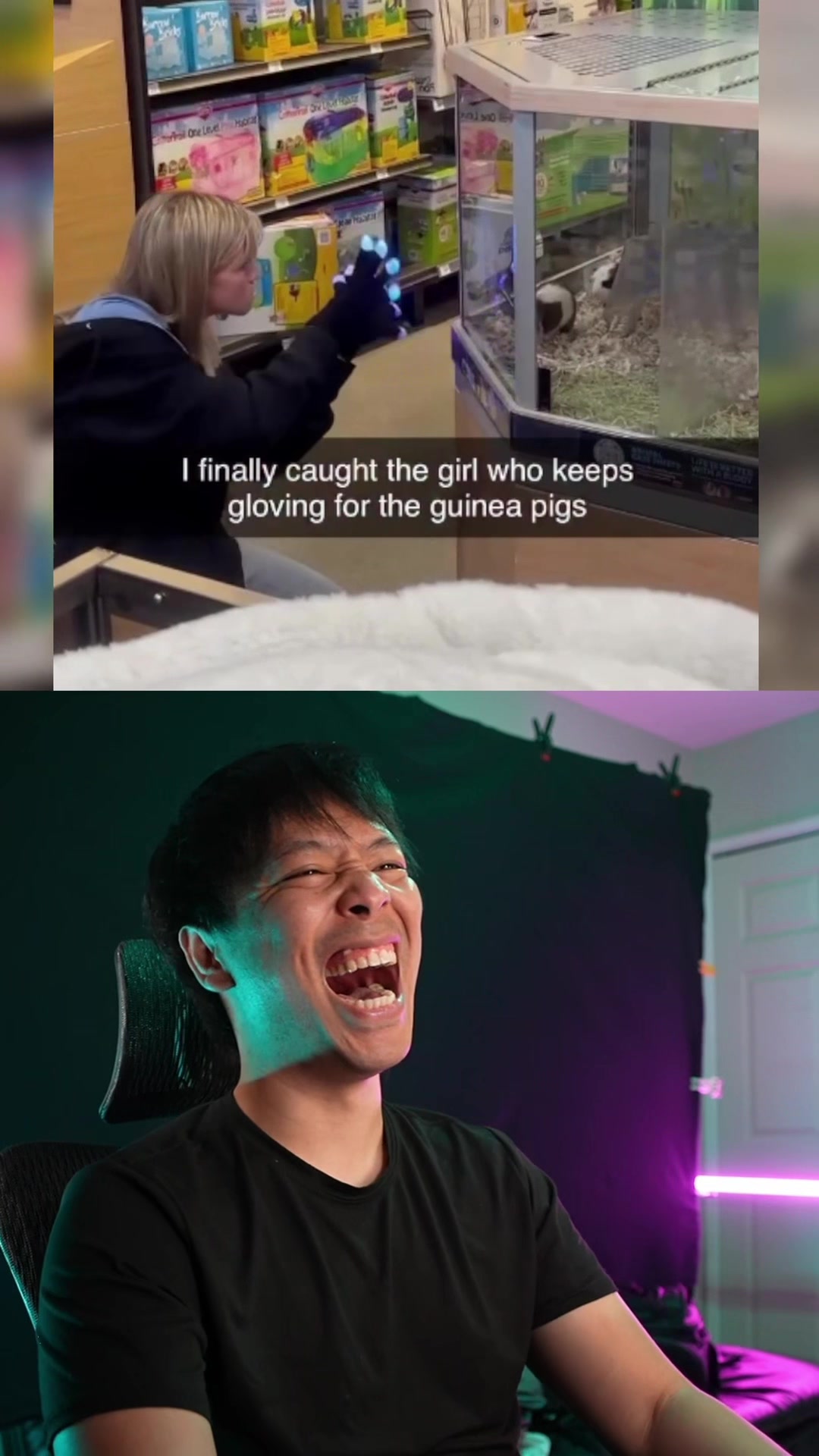 @Puppet