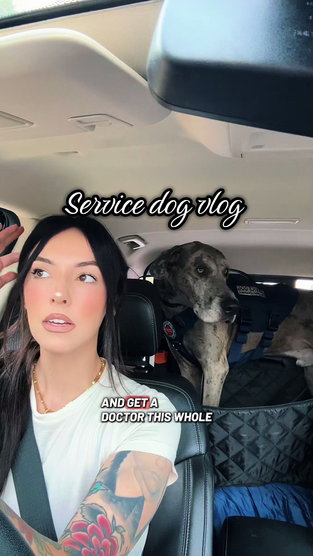 @lex 🐺⛓️
