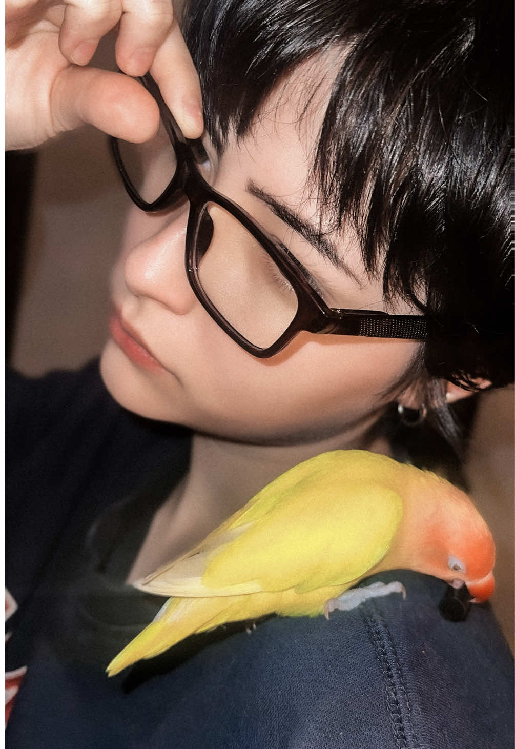 @- Ryuk -